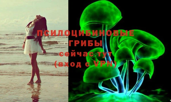первитин Алексеевка